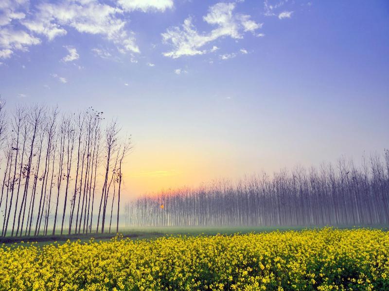 Courtyard By Marriott Amritsar