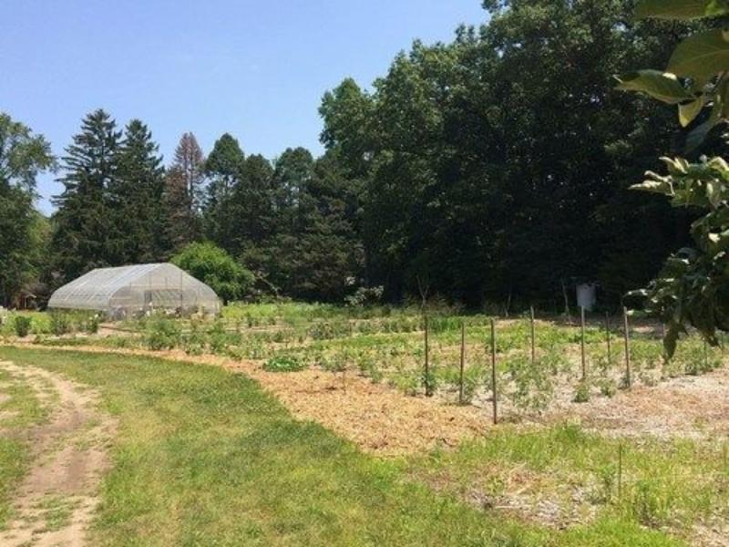 Goldberry Woods Bed & Breakfast-MicroFarm-Cottages image
