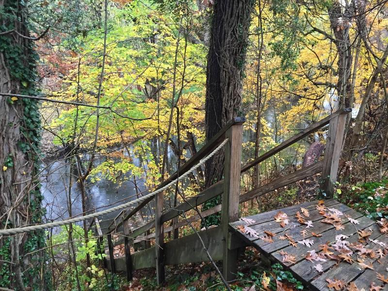 Goldberry Woods Bed & Breakfast-MicroFarm-Cottages image