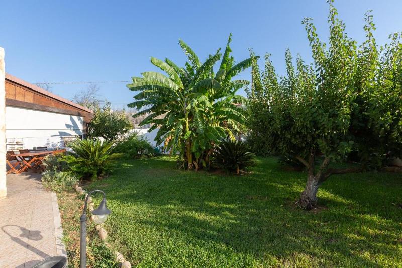 B&B L'isola che non c'è image