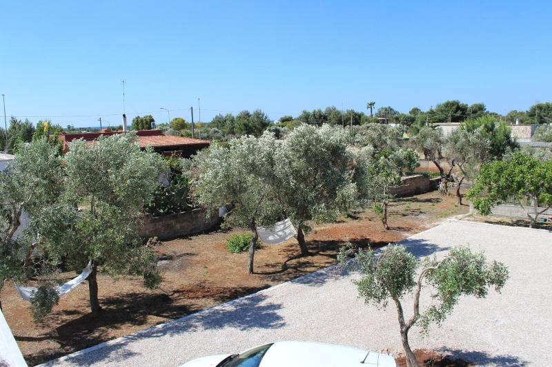 B&B L'isola che non c'è image