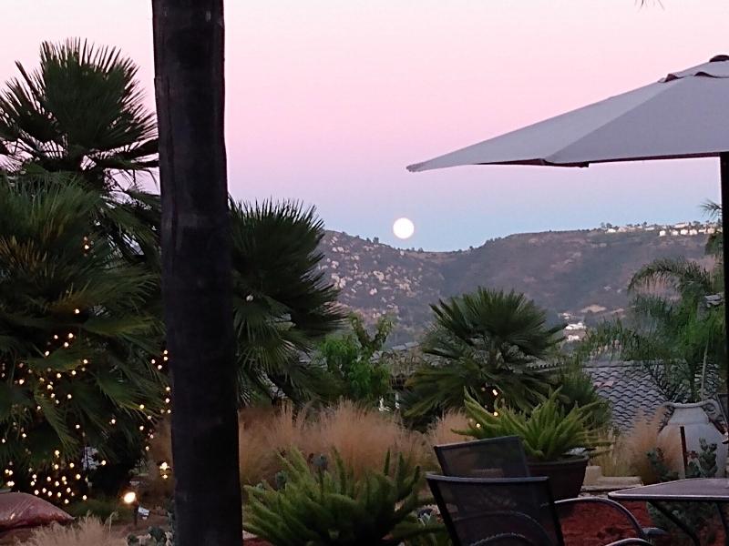Sunshine Mountain Bed And Breakfast image