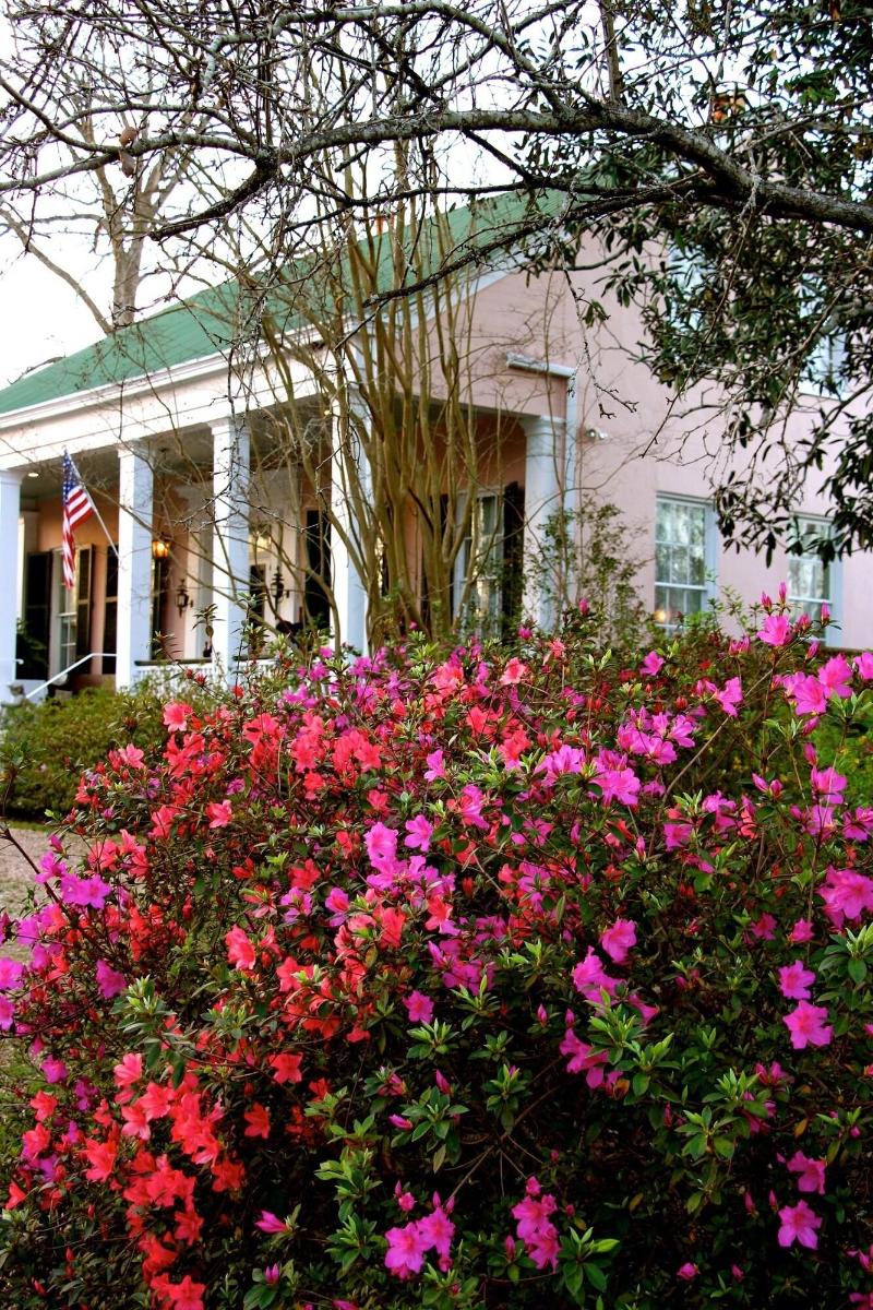 Sunnyside Bed & Breakfast image
