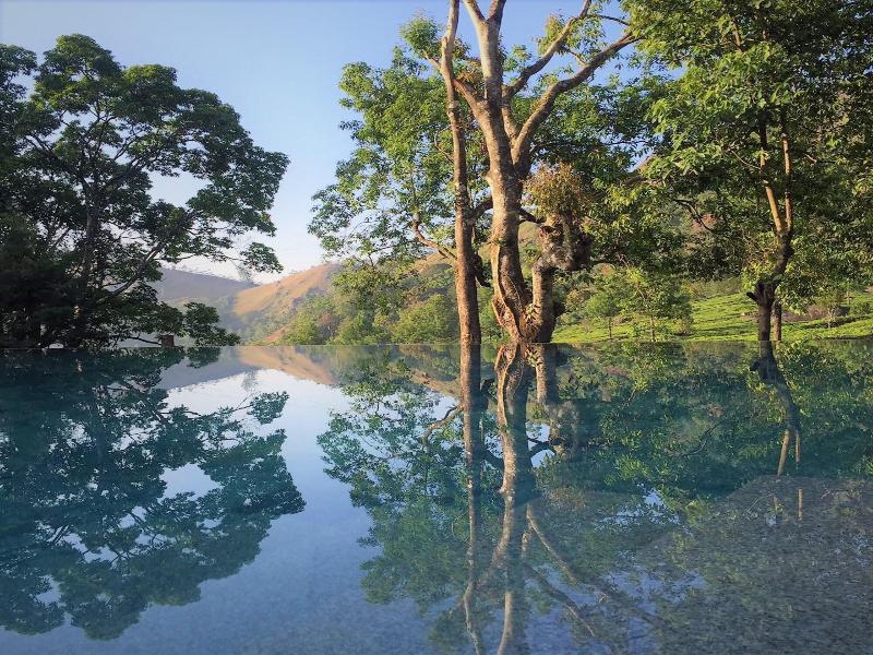 Windermere Estate image