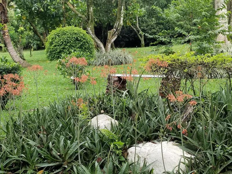 La Terraza Guest House B&B image