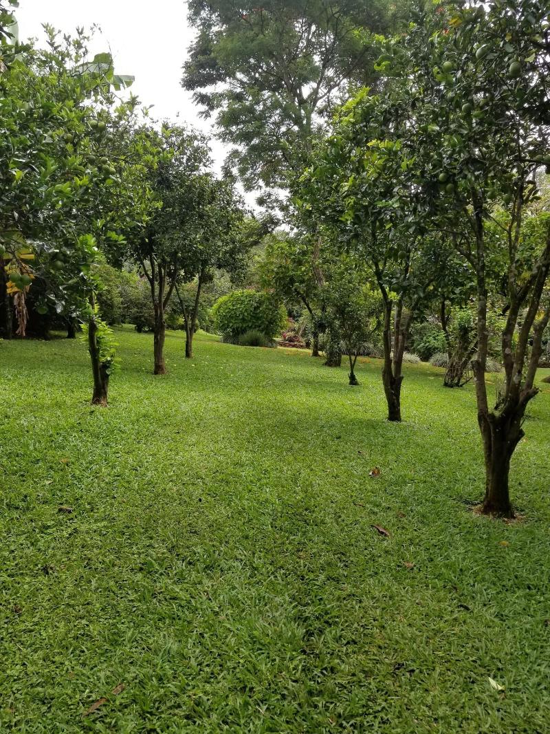 La Terraza Guest House B&B image