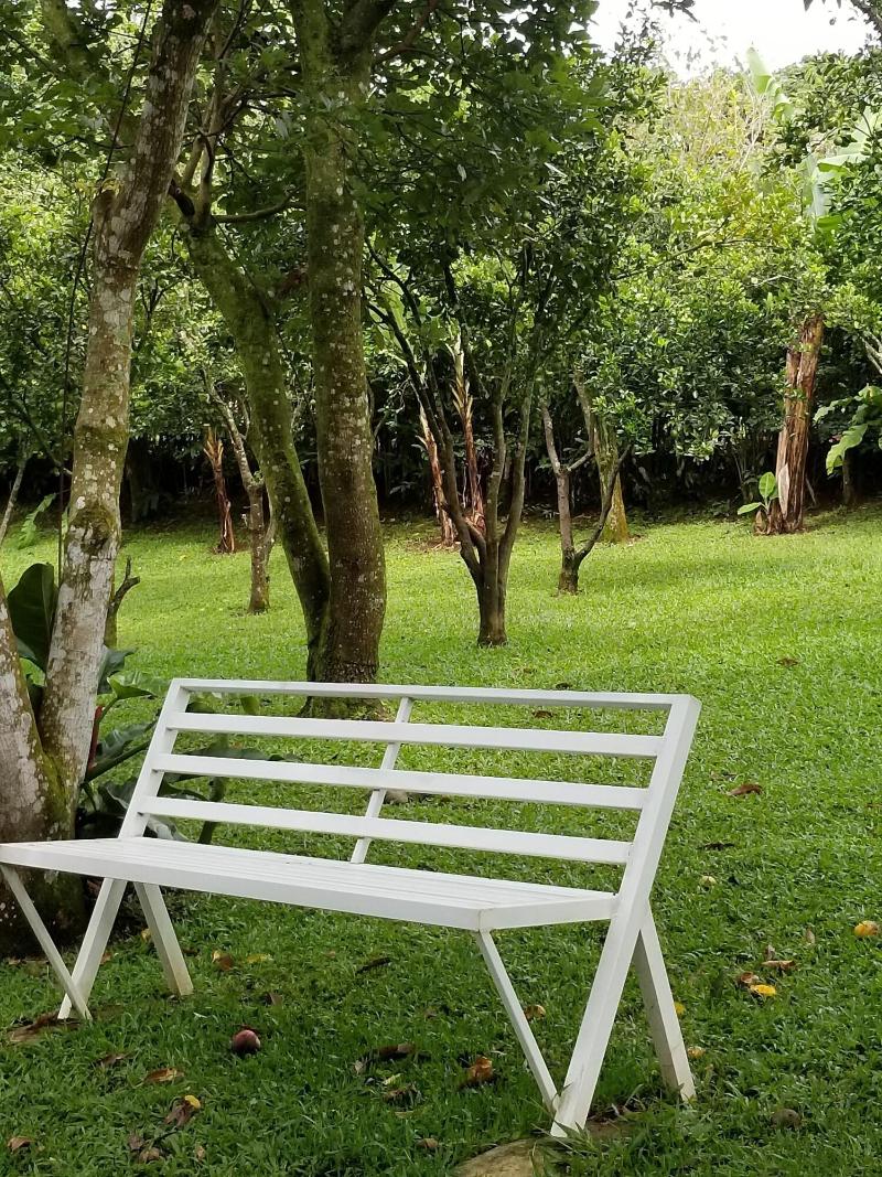La Terraza Guest House B&B image