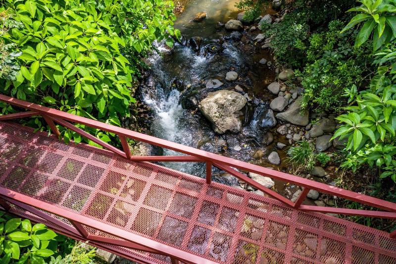 La Terraza Guest House B&B image