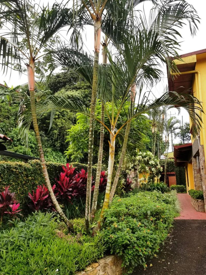 La Terraza Guest House B&B image
