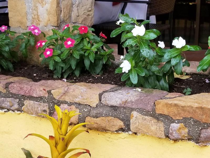 La Terraza Guest House B&B image