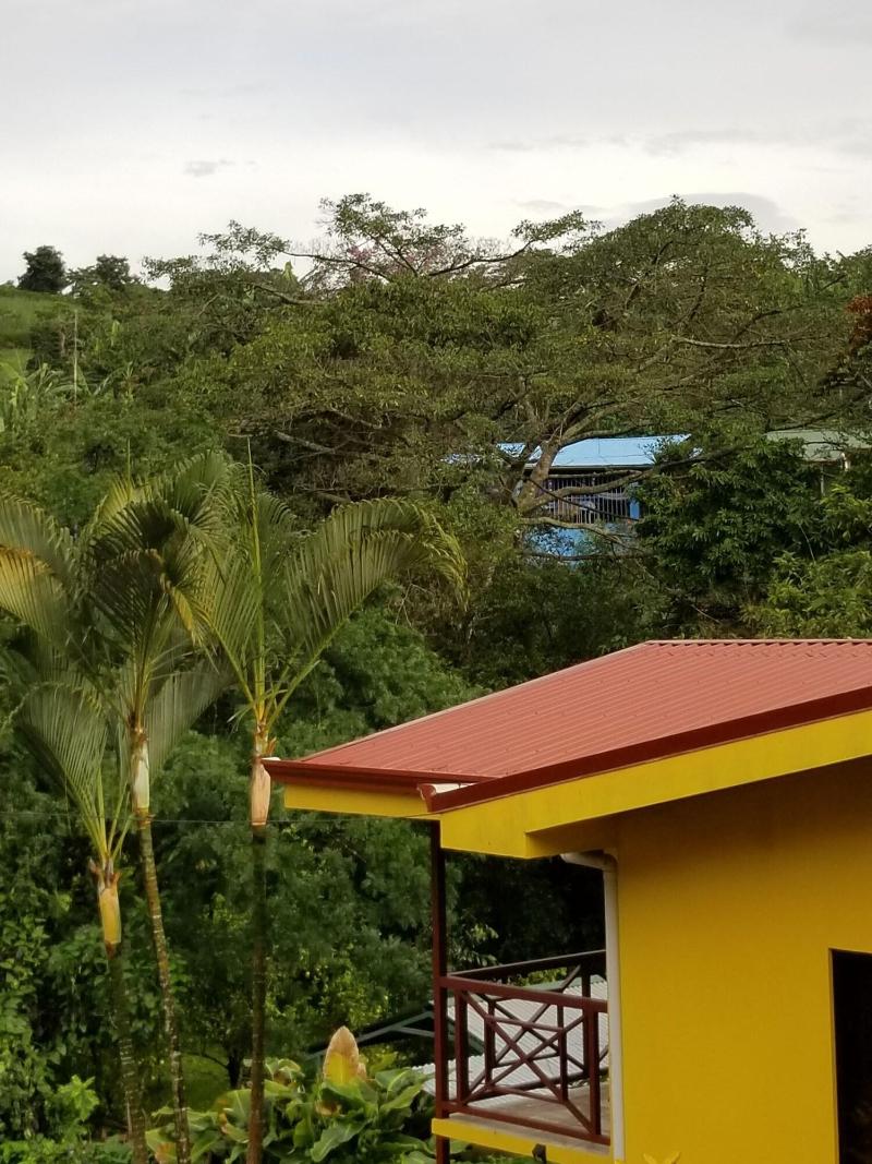 La Terraza Guest House B&B image