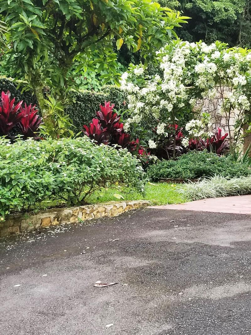 La Terraza Guest House B&B image