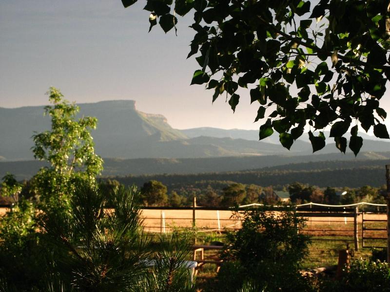 Starry Nights Ranch Bed & Breakfast image