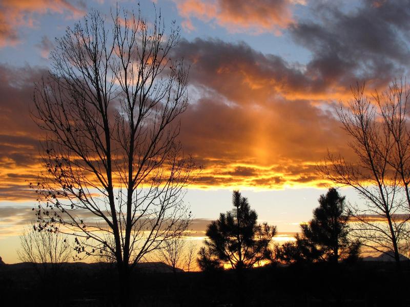 Starry Nights Ranch Bed & Breakfast image