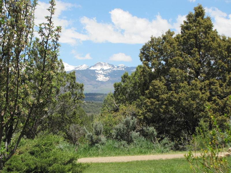 Starry Nights Ranch Bed & Breakfast image
