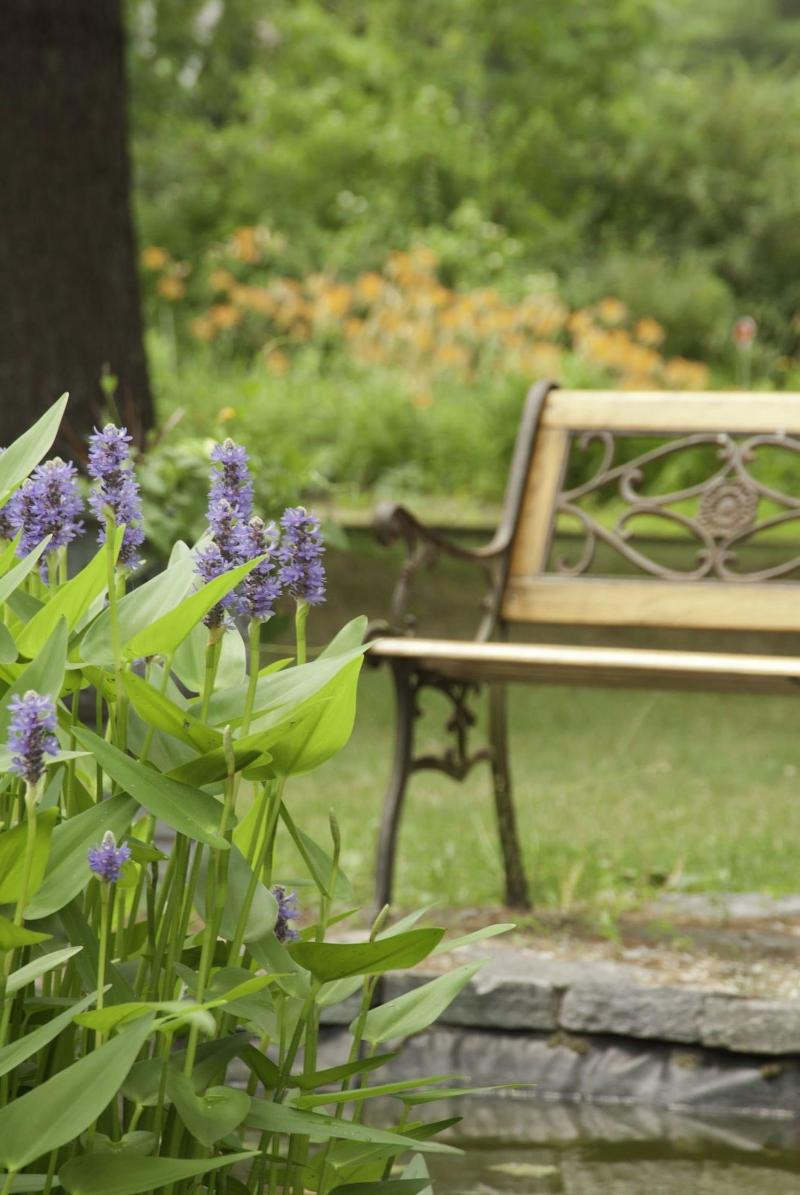 Golden Stage Inn Bed And Breakfast image