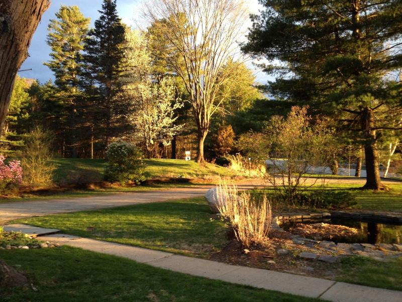 Golden Stage Inn Bed And Breakfast image