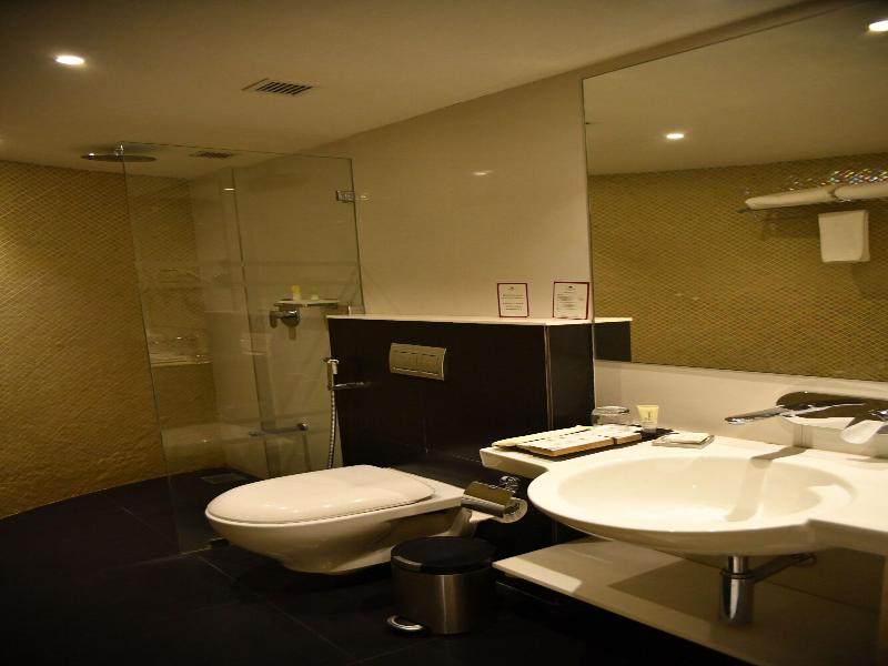 Effotel By Sayaji Vadodara image