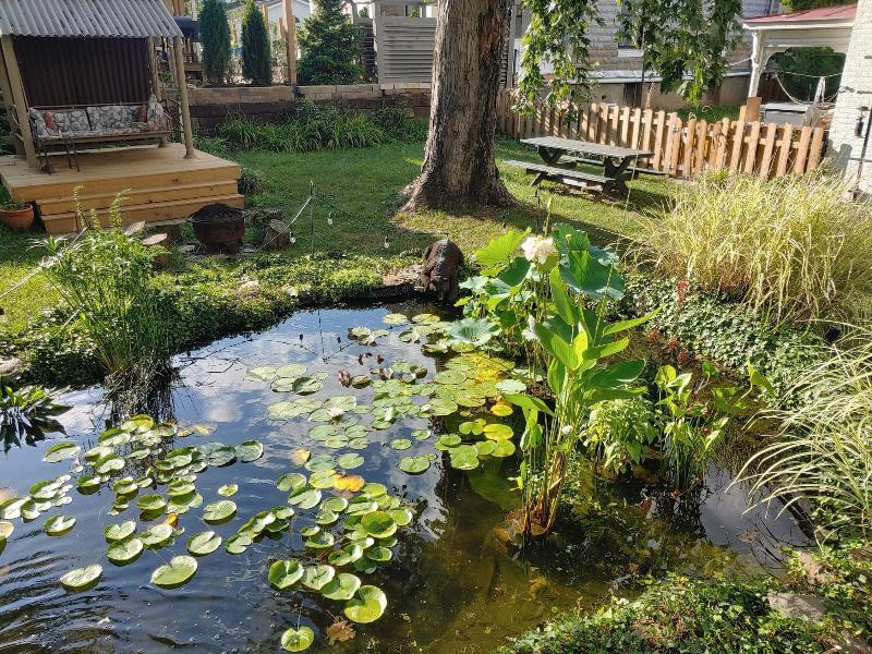 Lily Garden Bed And Breakfast image