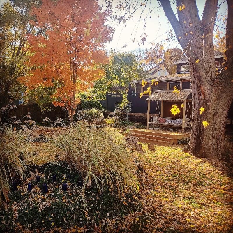 Lily Garden Bed And Breakfast — general view