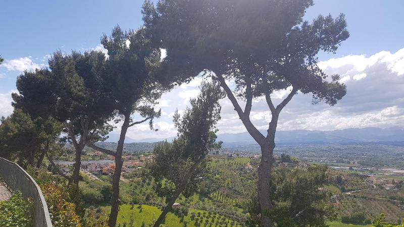 BR1 Cibo & Benessere image