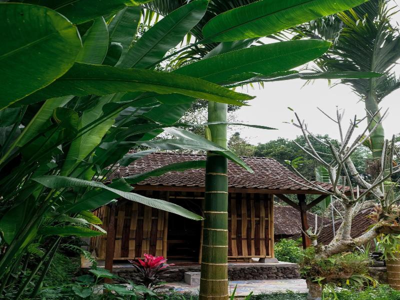 Song Broek Jungle Resort image