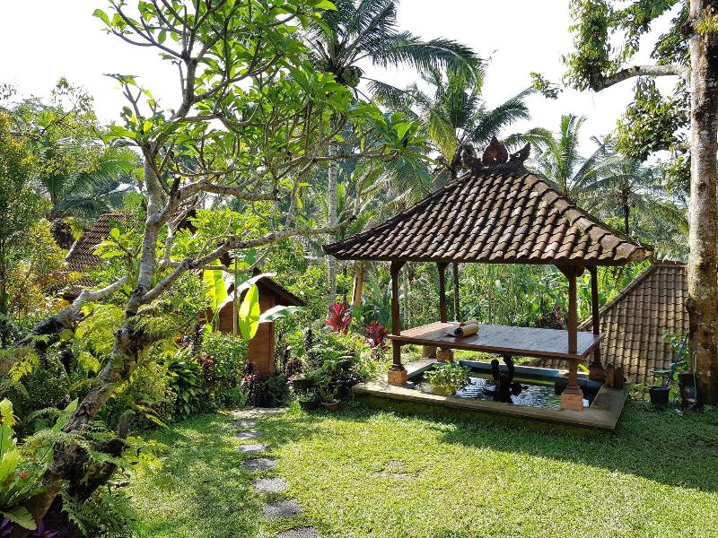 Song Broek Jungle Resort image