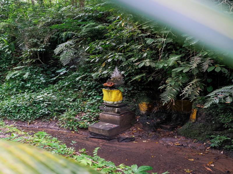 Song Broek Jungle Resort image