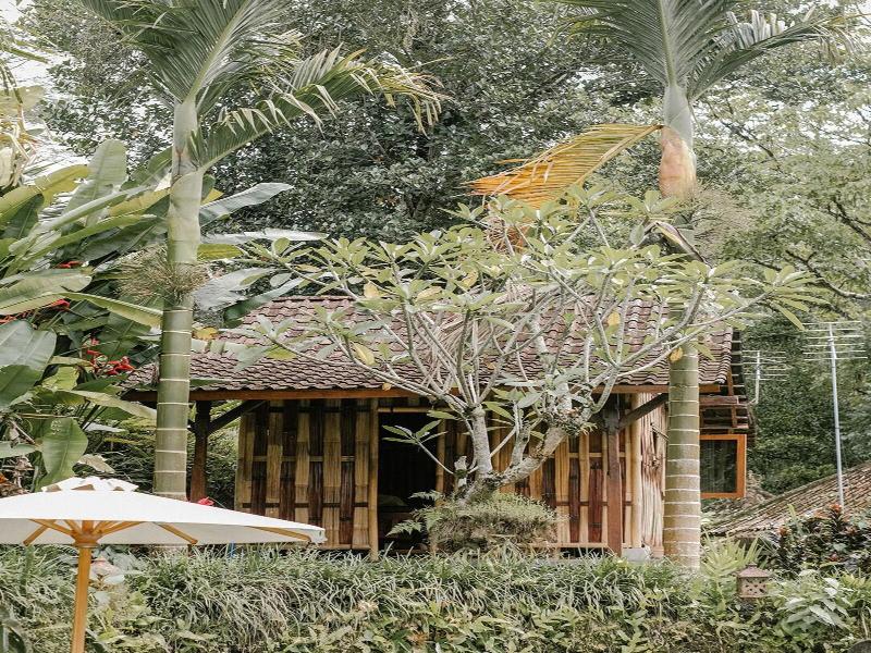 Song Broek Jungle Resort image