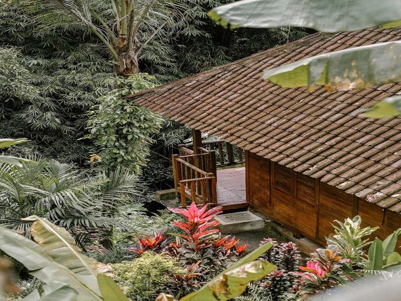 Song Broek Jungle Resort image