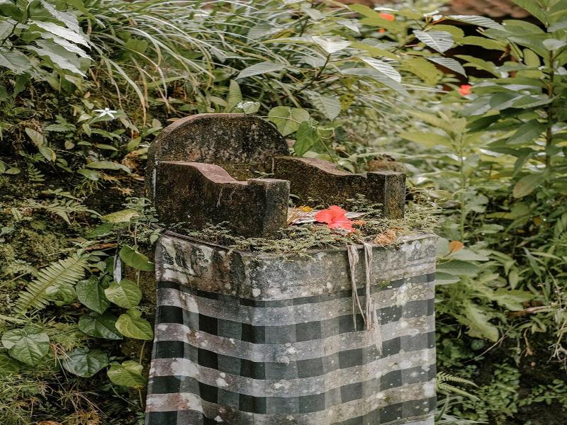 Song Broek Jungle Resort image
