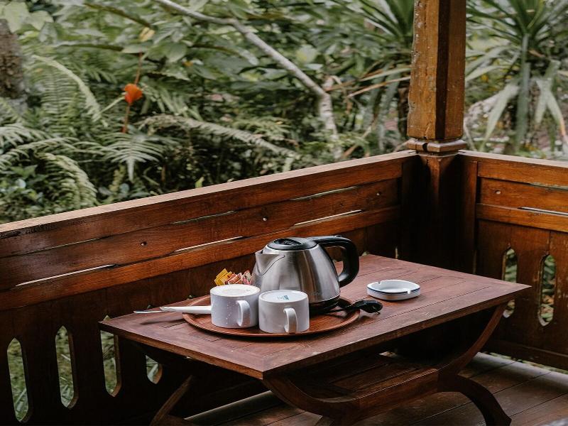 Song Broek Jungle Resort image