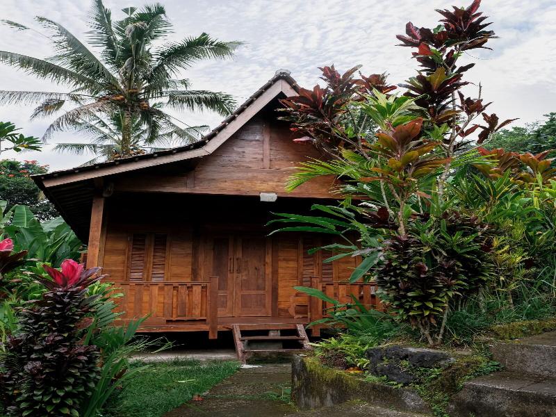 Song Broek Jungle Resort image