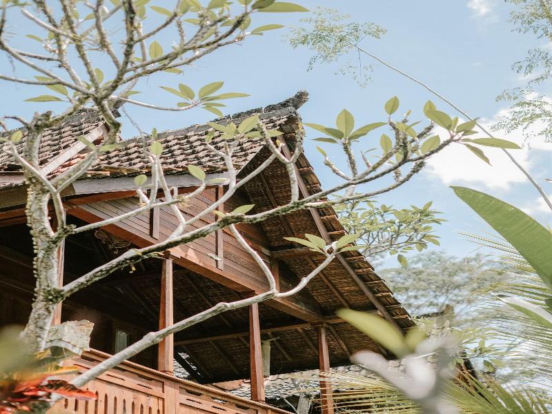 Song Broek Jungle Resort image