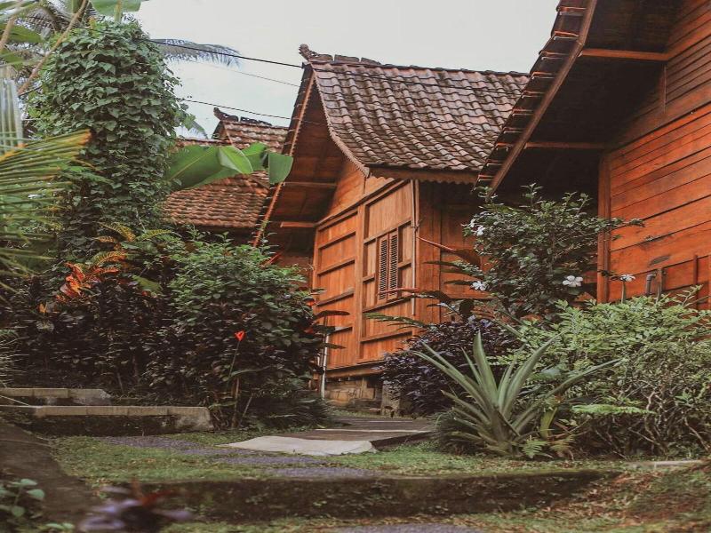 Song Broek Jungle Resort image