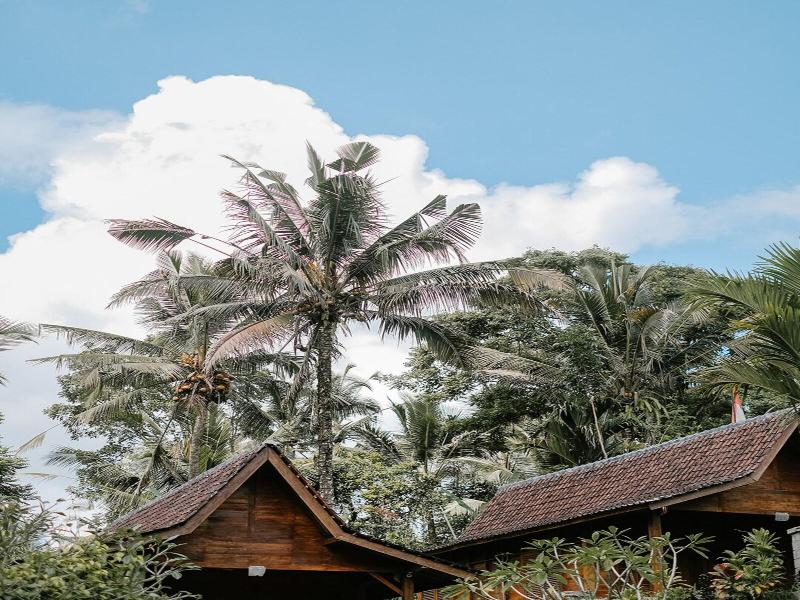 Song Broek Jungle Resort image