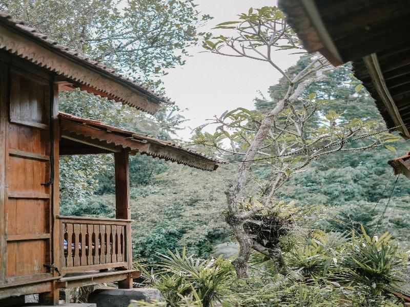 Song Broek Jungle Resort image