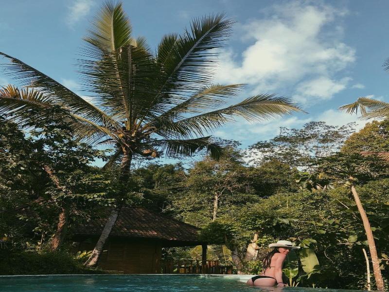 Song Broek Jungle Resort image
