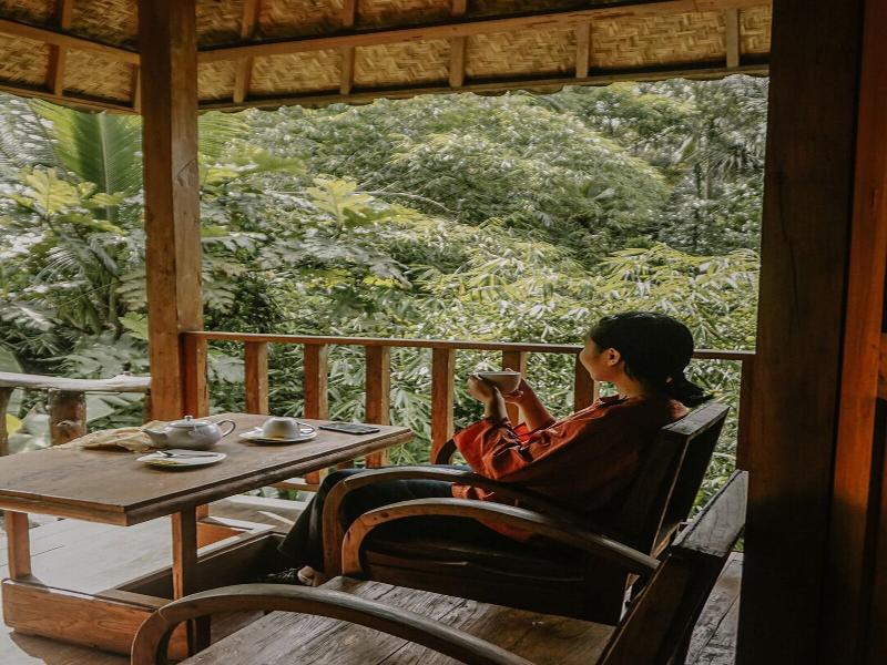 Song Broek Jungle Resort image