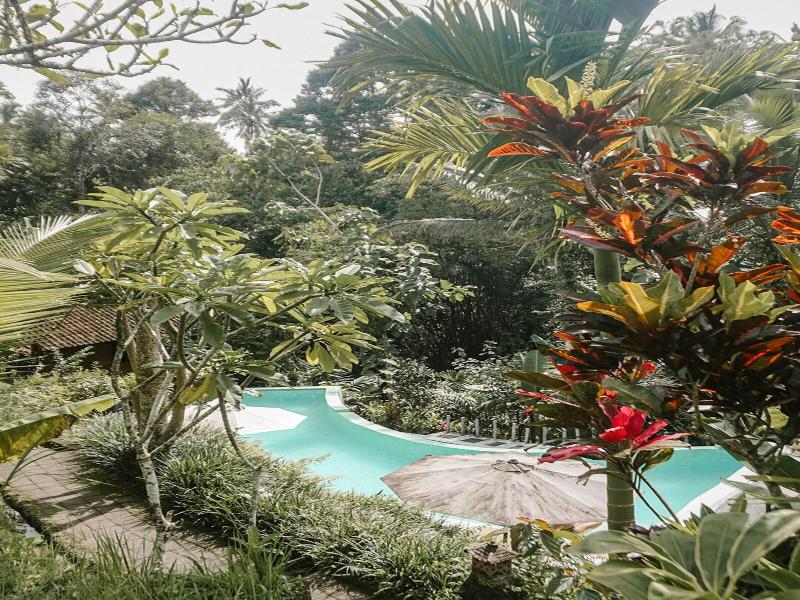 Song Broek Jungle Resort image