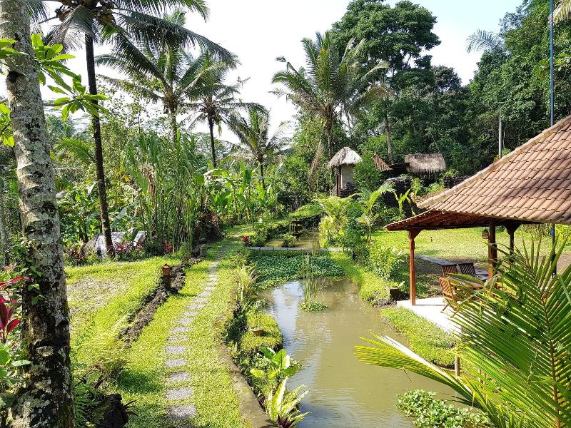 Song Broek Jungle Resort image