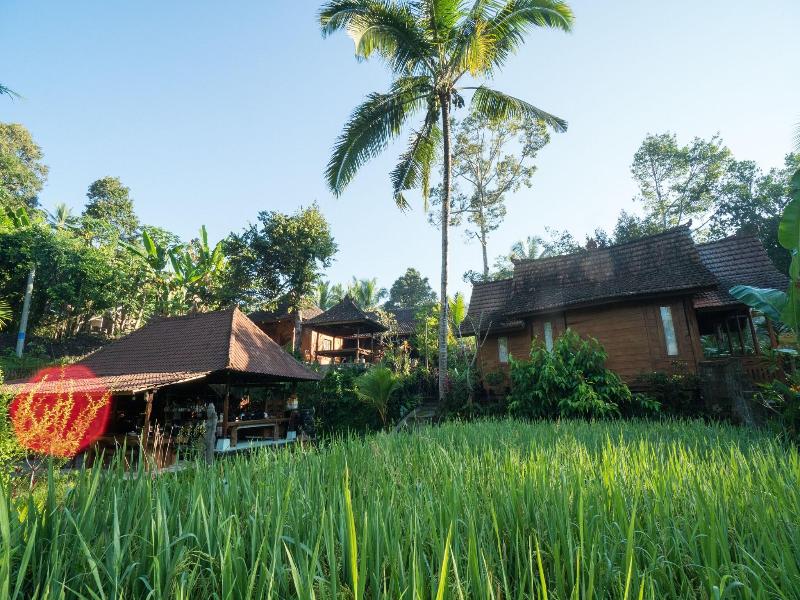 Song Broek Jungle Resort image