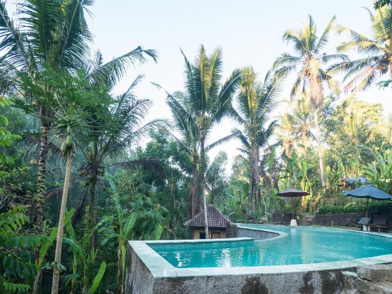 Song Broek Jungle Resort image