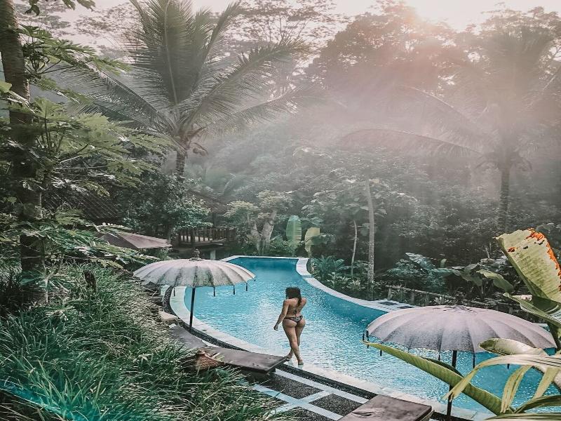 Song Broek Jungle Resort image