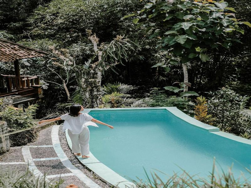 Song Broek Jungle Resort image