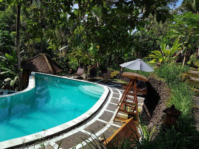 Song Broek Jungle Resort image