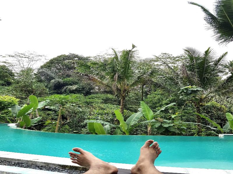 Song Broek Jungle Resort image