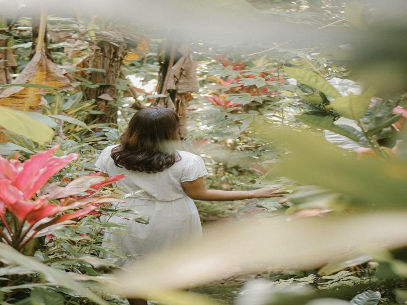 Song Broek Jungle Resort image