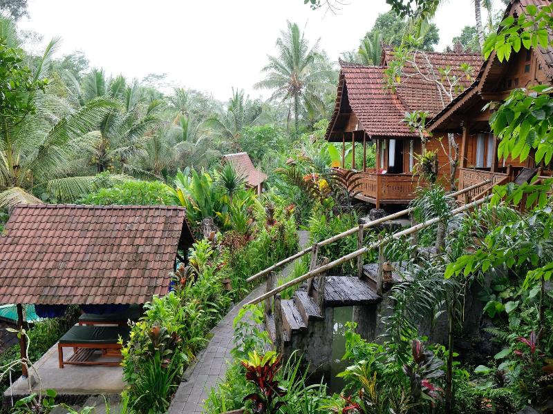 Song Broek Jungle Resort image