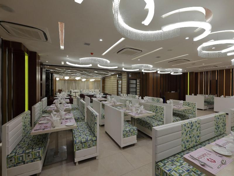 Hotel Pragati The Grand image